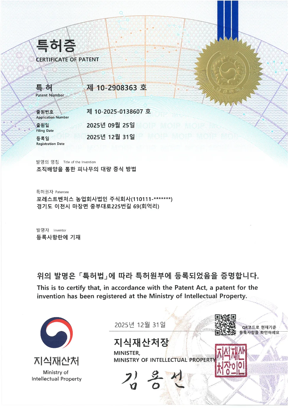 Tilia patent